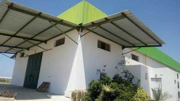 Strategic Investment Opportunity in Slimane