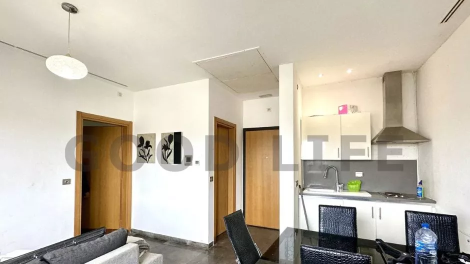 Furnished S+1 Apartment in La Marsa: A Haven of Comfort and Security