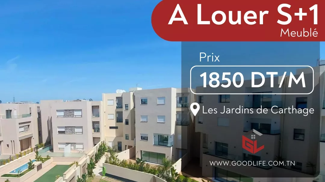 S+1 Apartment in Jardin de Carthage: A Dream Furnished Apartment
