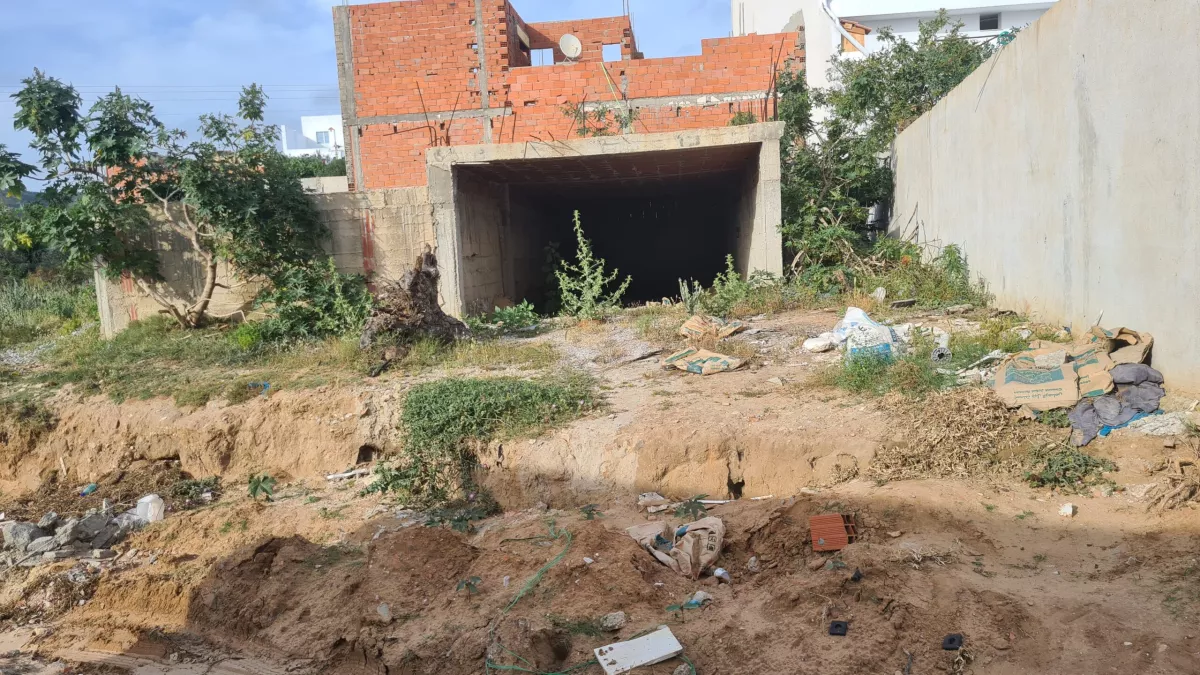 Introduzione a una Posizione di Prestigio