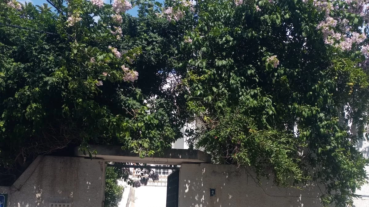 Luxury Villa S+4 with Garden and Garage in Tunis