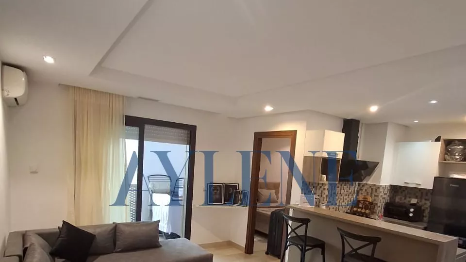 Introduction to Your Dream Apartment