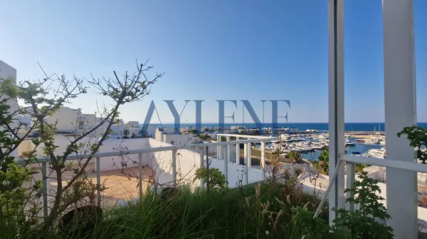 Luxury Duplex S3 with Garden and Rooftop in Gammarth