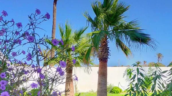 Luxury Villa for Annual Rent in Arkou, Djerba