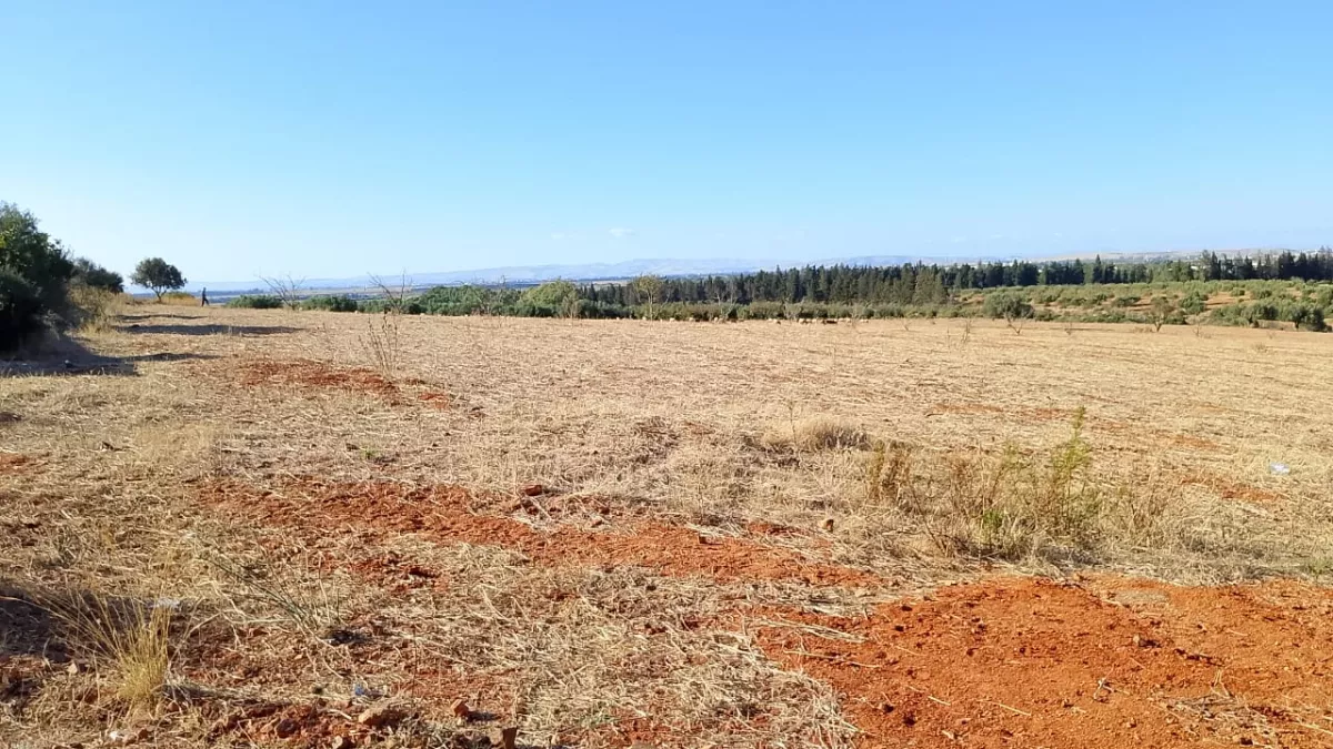 1-Hectare Plot in Sidi Thabet Jabbes: An Ideal Investment in the Ariana Region