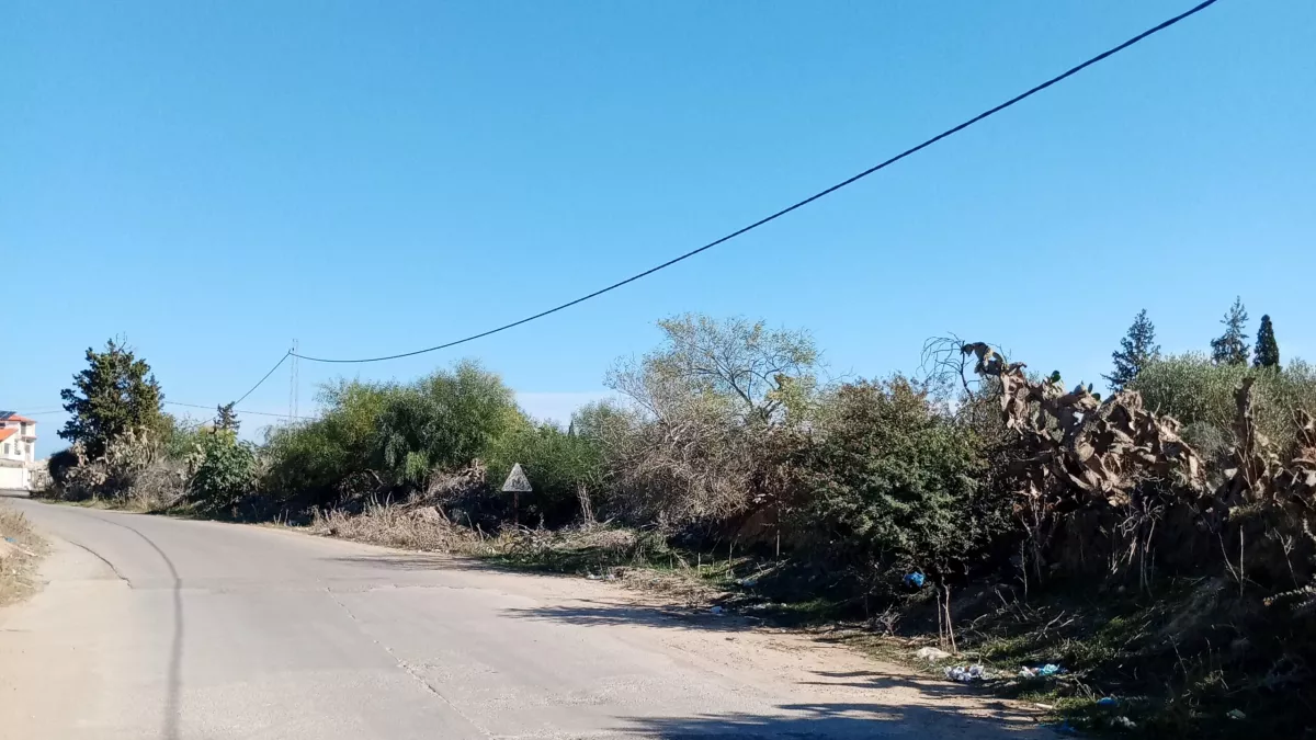 Exceptional Agricultural Land for Sale in Sousse - A Unique Opportunity