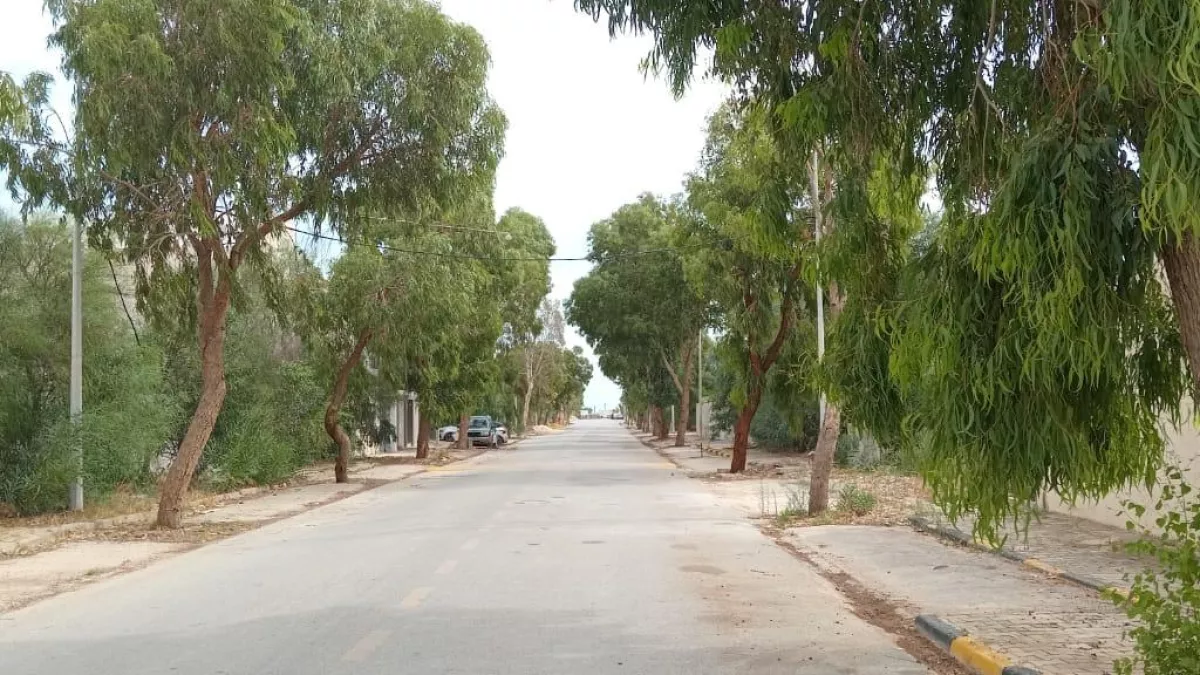 282m² Plot in Flamants Roses Development, Raoued