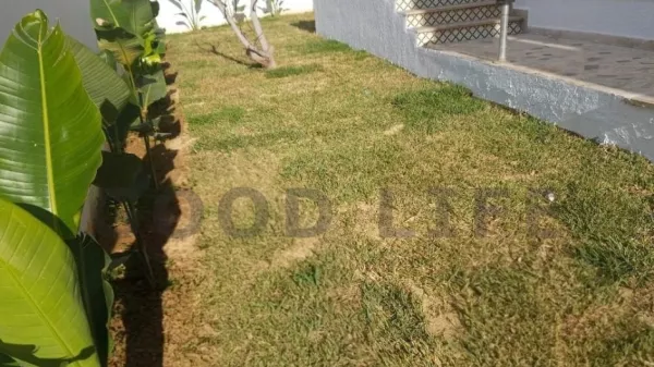 Luxury Villa in Manar 2