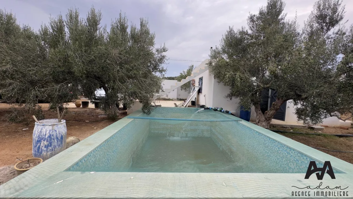 Dream Agricultural Land in Houaria - Nabeul