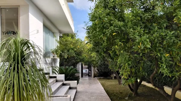 Renovated 1950s Villa in Menzah 1