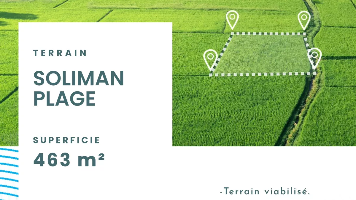 Dream Land for Sale: 463m² Plot near the Beach in Soliman (La Plage District)