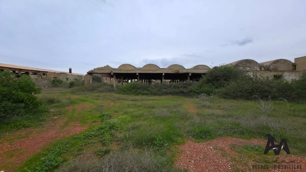 Terreno Industriale in Vendita – Zona Industriale di Nabeul: Un'Opportunità di Investimento Ideale