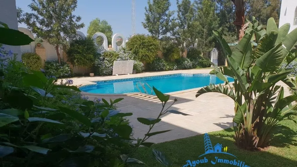 Studio D 6 - Hammamet: Your Serenity Haven