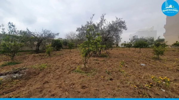 Eccezionale Opportunità di Terreno a Nabeul