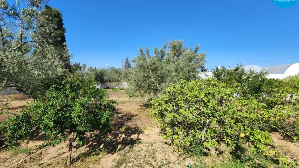 Opportunità Unica di Terreno a Hammamet
