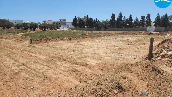 Eccezionale Opportunità di Terreno a Hammamet Nord