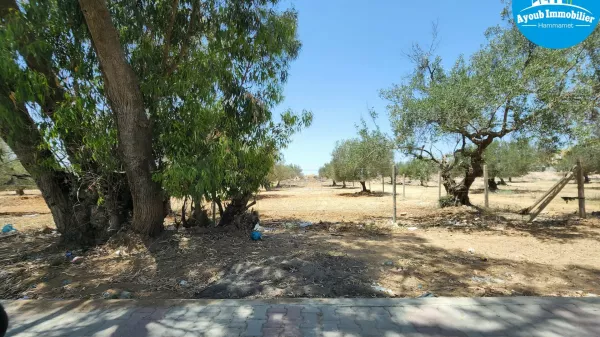 Introduzione a Mazda 2 Land