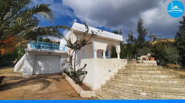Casa dei Sogni a Hammamet - Un'Oasi di Pace