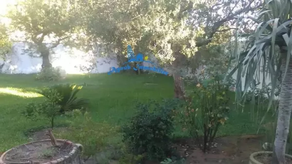 Un Ambiente di Vita Eccezionale