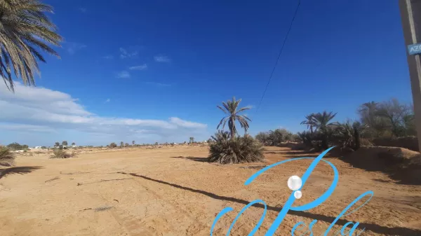 Eccezionale Terreno in Vendita a Sidi Jmour, Djerba