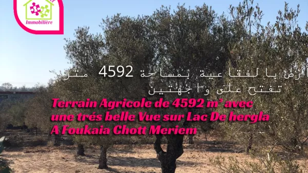 Terreno Agricolo di 4592 M² con Vista Mozzafiato a Foukaia, Sousse
