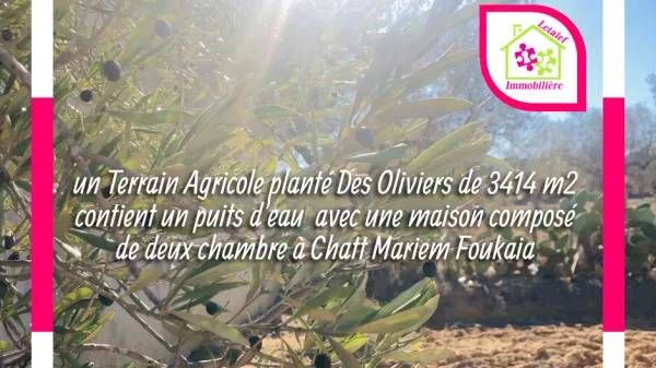 Eccezionale Opportunità di Terreno Agricolo a Foukaia, Sousse