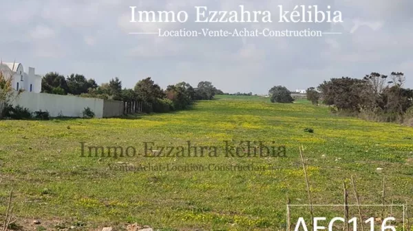 Scopri il Fascino di HAOUARIA con questo Eccezionale Terreno