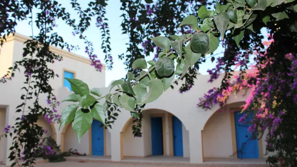 Splendido Riad di Djerba con Piscina a Djerba Midoun