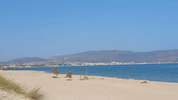 Occasione Eccezionale di Terreno a Dar Allouch Kélibia