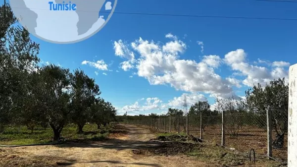 Incantevole Azienda Agricola a Kalâa Kebira