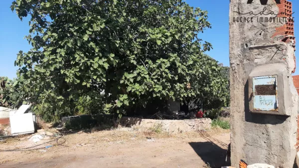 Unica Opportunità di Terreno Agricolo a Daroufa, Nabeul