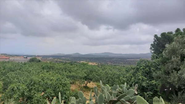 Unica Opportunità di Terreno Agricolo a El Houaria, Nabeul - Un Paradiso per Investitori e Amanti della Natura