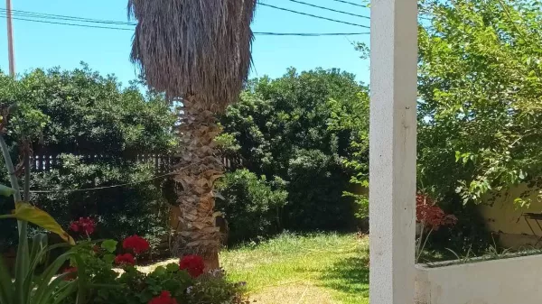 Appartamento al Piano Terra in una Casa Arredata sul Mare a Corniche, Bizerte