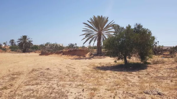 Eccezionale Terreno di 1800m² in Vendita a Tezdaine, Djerba