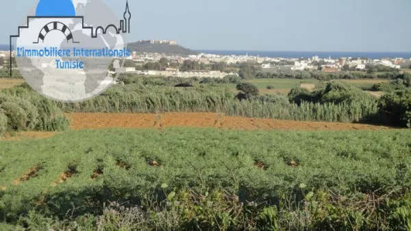 Eccezionale Azienda Agricola di 1,5ha a Kalaa Kbira, Sousse