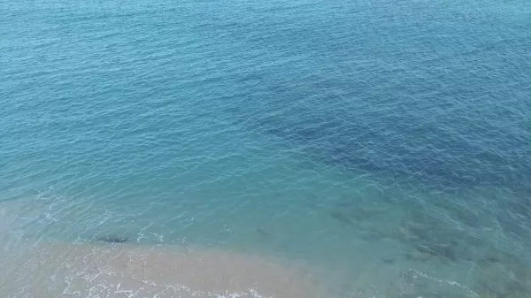 Caratteristiche Principali