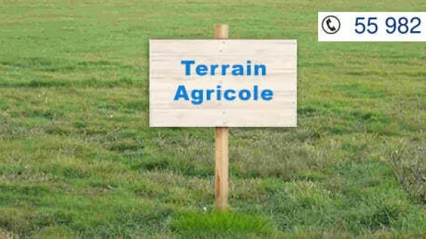 Terreno Agricolo in Vendita a Sidi Jedidi, Hammamet Sud