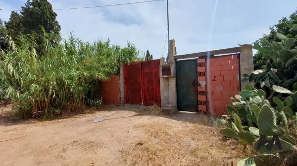 Terreno Agricolo da Sogno a Nabeul - 6277m² con Acqua e Elettricità