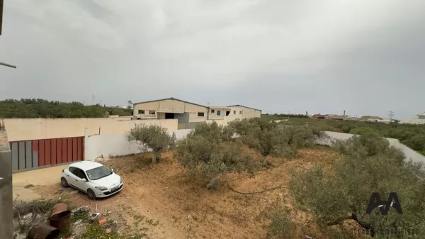 Lotto Quadrato di 311m² a Jinèn Beni Khiar, Nabeul