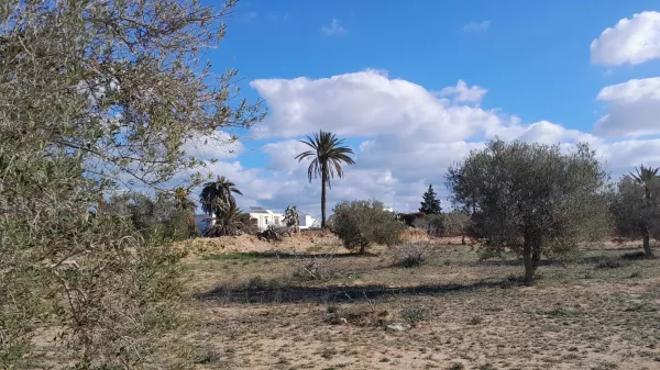 Opportunità di Investimento in una Residenza da Sogno a Tellala, Djerba