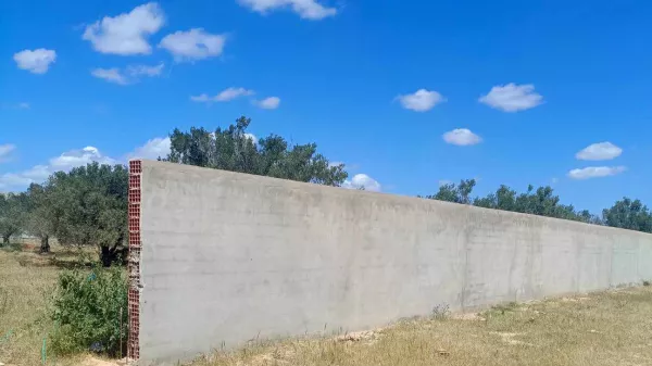 Splendido Terreno di 600m² con 3 Facciate a Sud di Hammamet