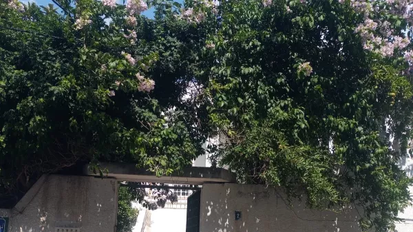 Villa di Lusso S+4 con Giardino e Garage a Tunisi