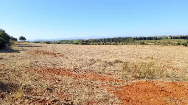 Terreno di 1 Ettaro a Sidi Thabet Jabbes