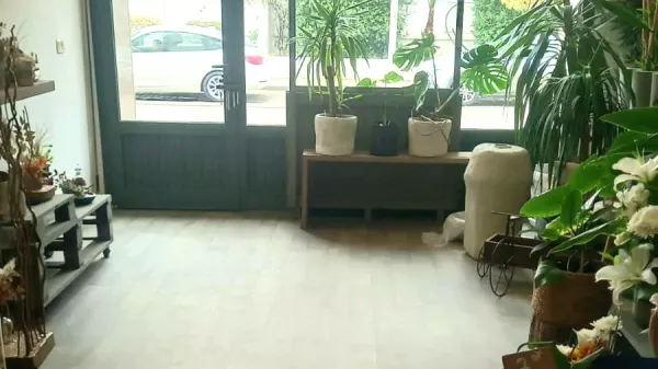 Proprietà Commerciale in Vendita - Berges du Lac