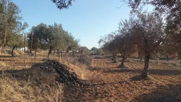 Unica Opportunità di Investimento a Foukaya Chatt Mariem, Sousse