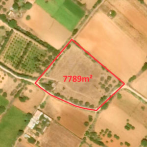 Terrain agricole de 7789m² à Somâa, Nabeul