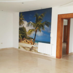 Maginifique appartement vu mer