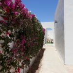 Photo-46 : Spacieuse villa avec piscine privée à Tezdaine Djerba