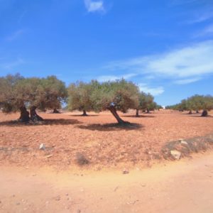 Terrain constructible faisant l’angle titre bleu et deux permis de bâtir