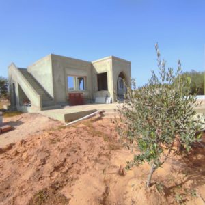 Maison 6 pièces avec piscine, garage sur un grand terrain